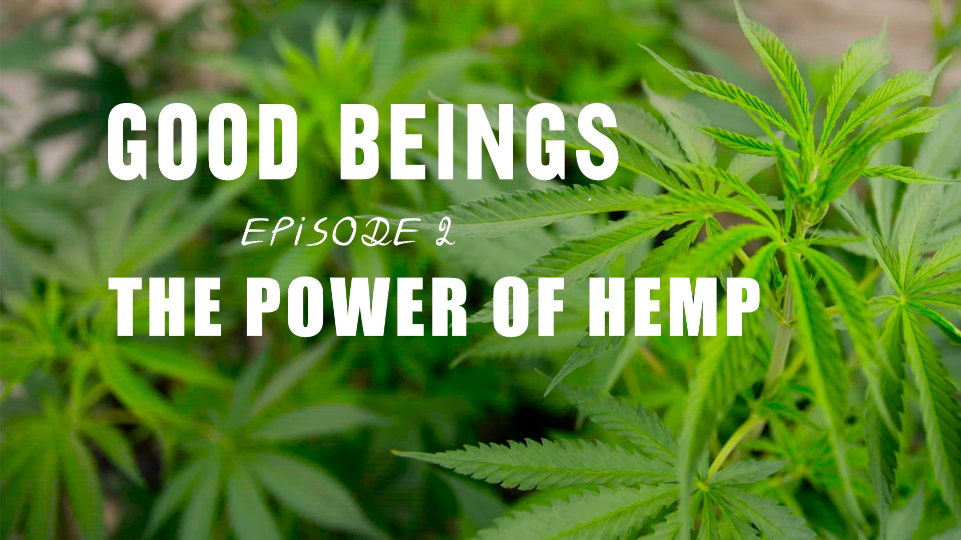 Good Beings EP2: The Power of Hemp