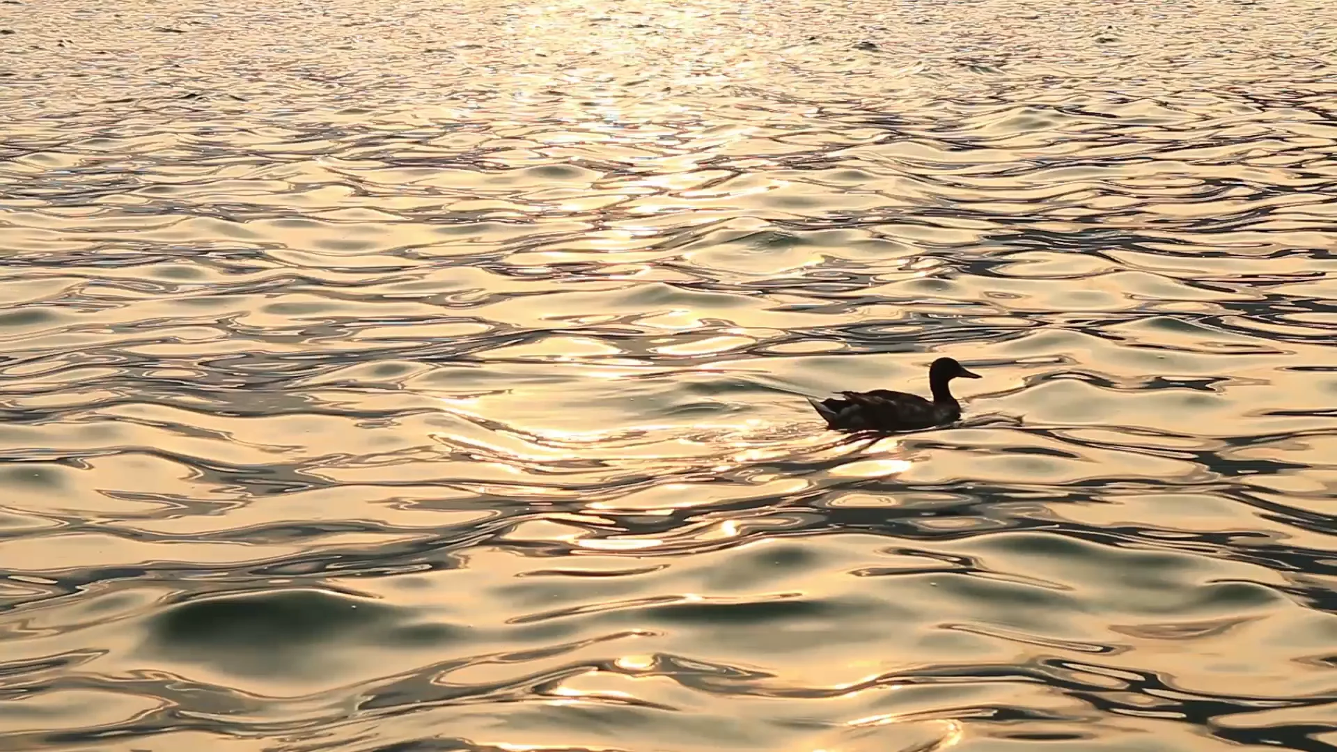 Sequence 04 on Vimeo