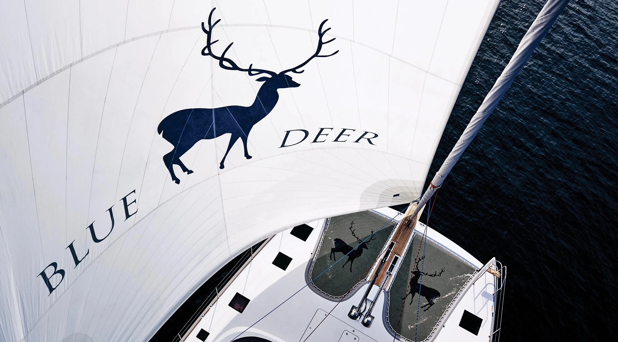 BLUE DEER by EXPLOY on Vimeo