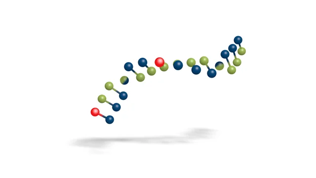 DNA - Martijn de Zoete