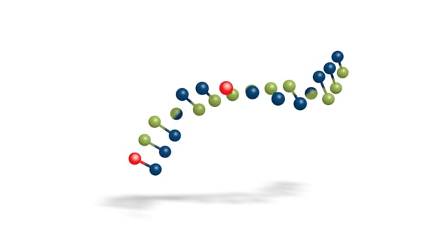 DNA  -  Martijn de Zoete