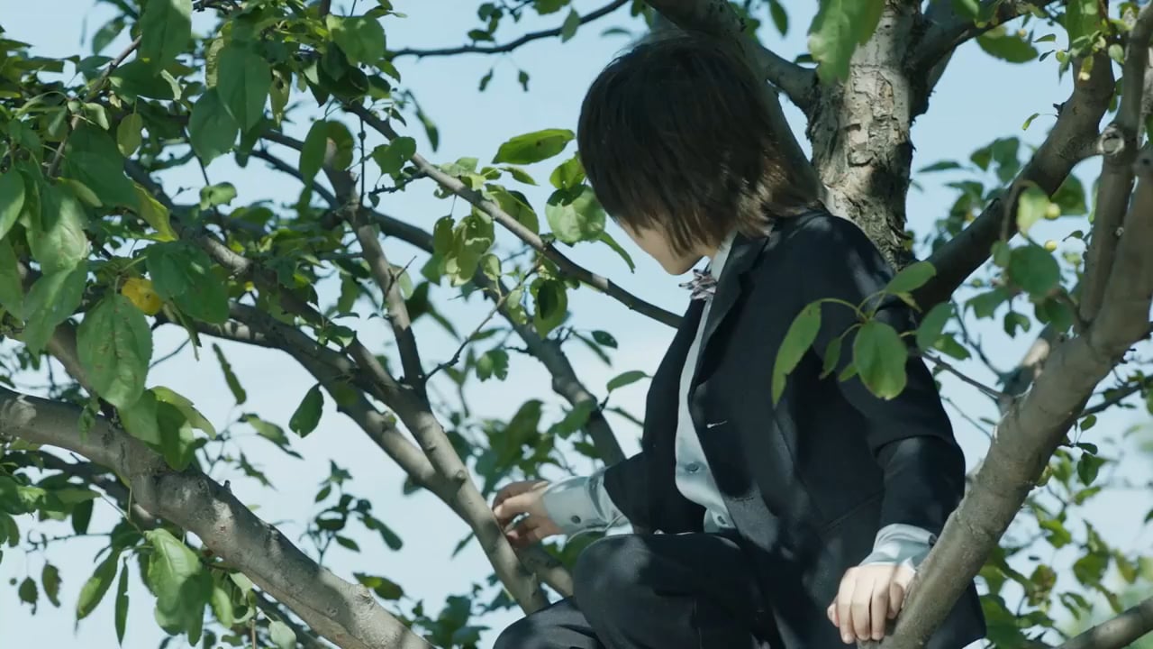 Still 2