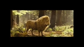 The chronicles of Narnia: Prince Caspian