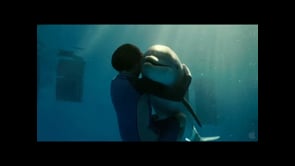 Dolphin Tale