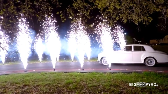 Big Dog Pyro | Decor - The Knot