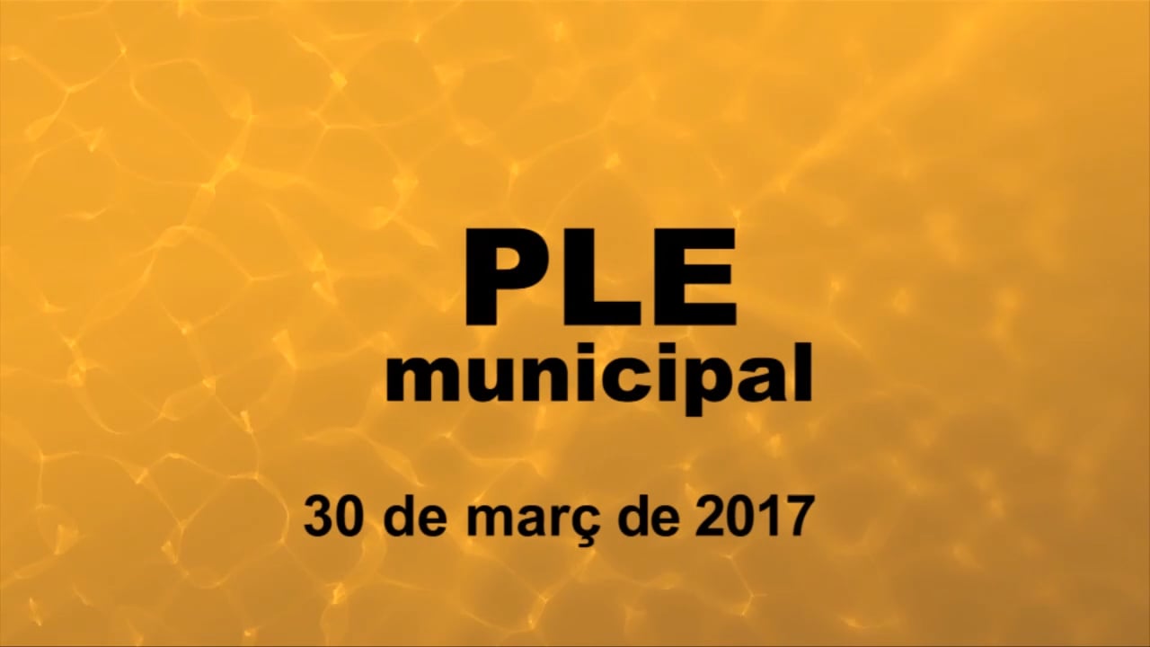 Ple municipal 30 de març de 2017 - punt1