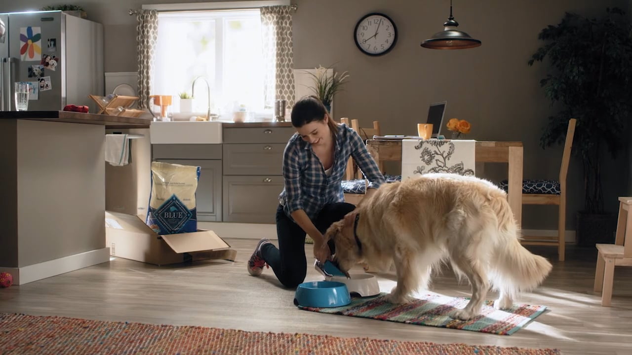 Amazon Prime Pets on Vimeo