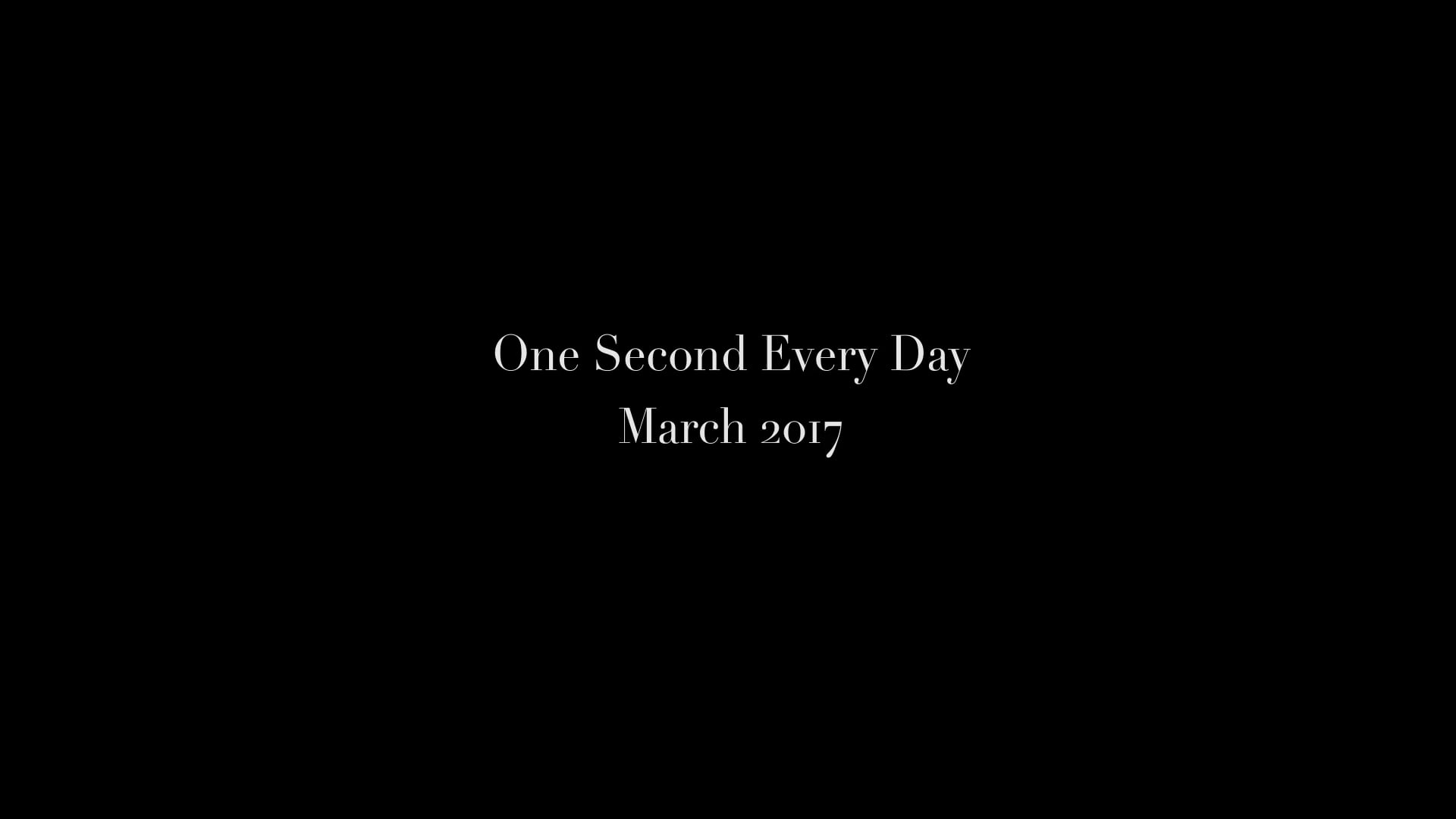 one-second-every-day-march-2017-on-vimeo