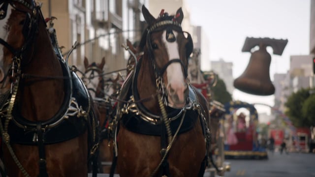 Budweiser - Home