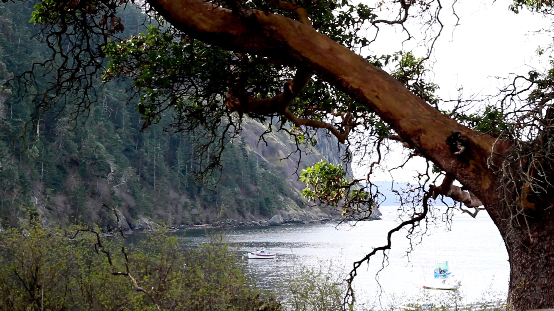 Waldron, San Juan Islands on Vimeo