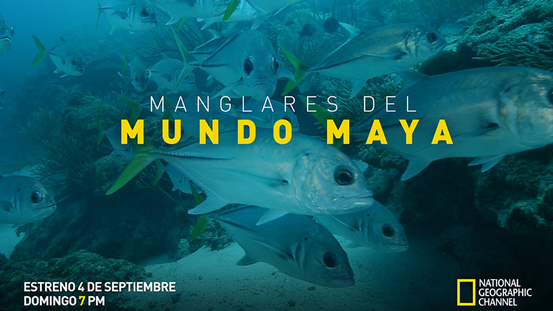 MANGLARES DEL MUNDO MAYA NatGeo