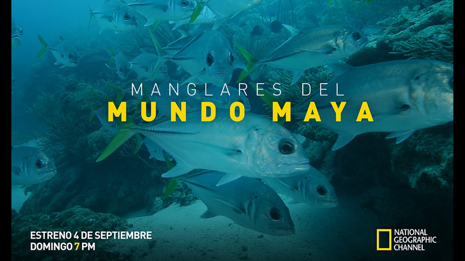 MANGLARES DEL MUNDO MAYA NatGeo
