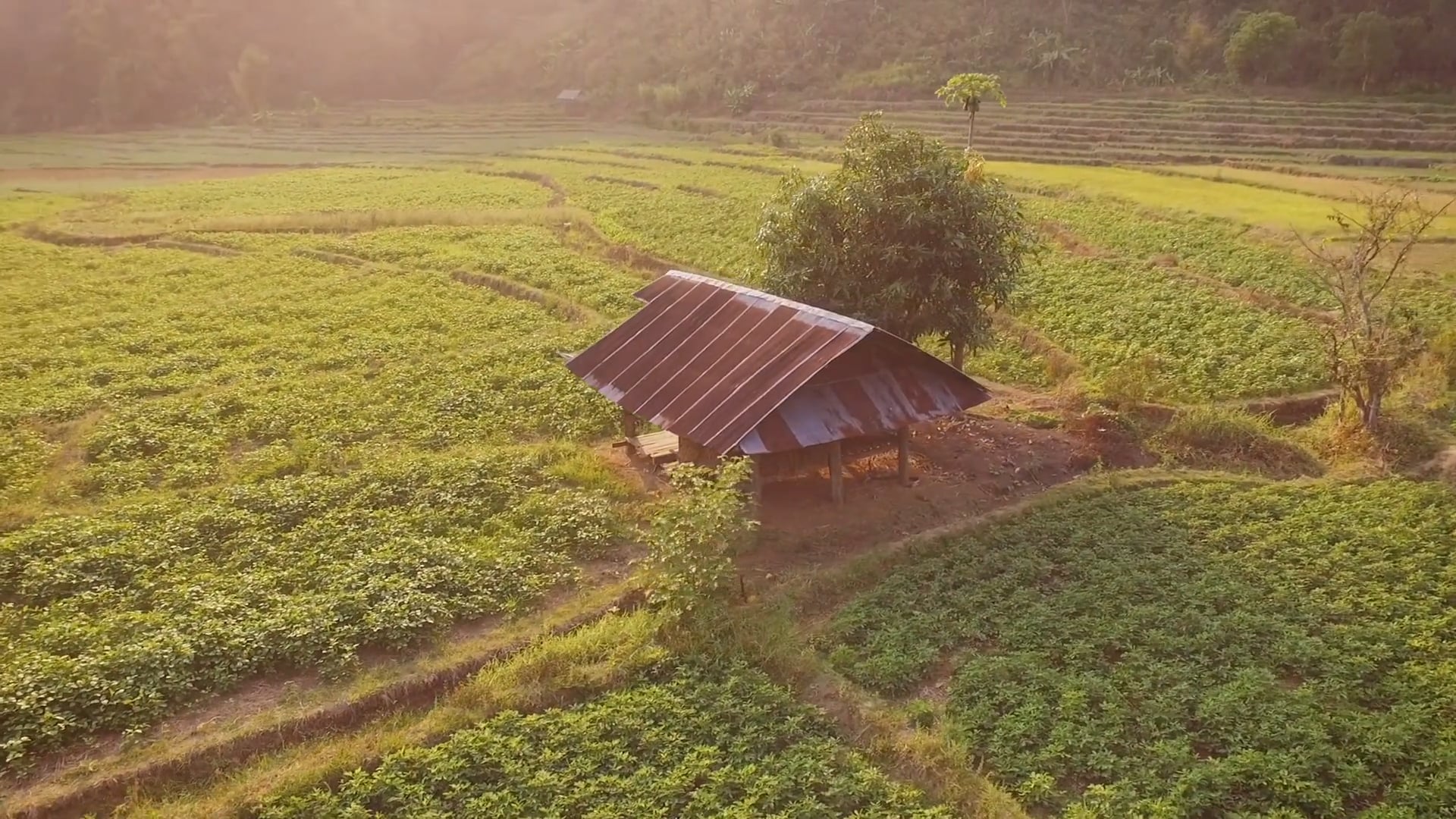 Northern Thailand