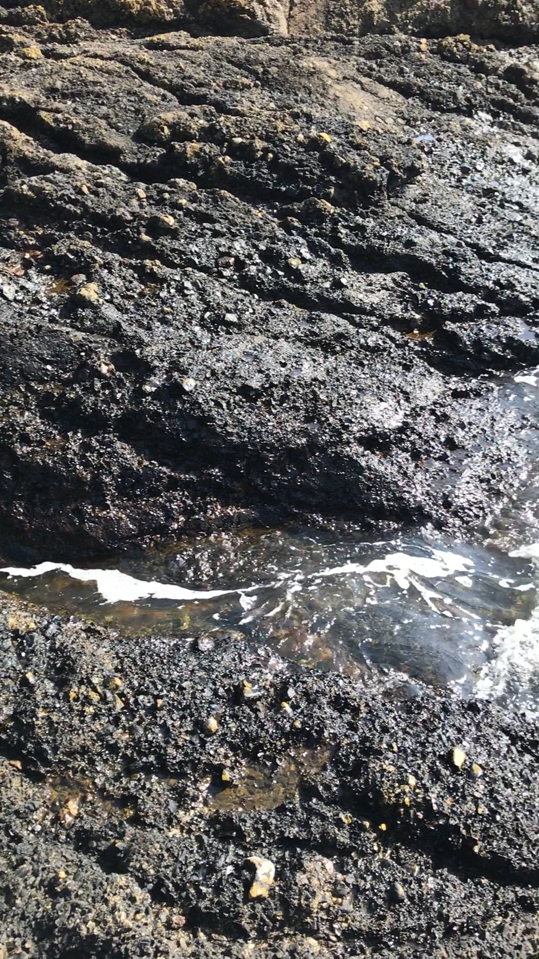 Wave on Vimeo