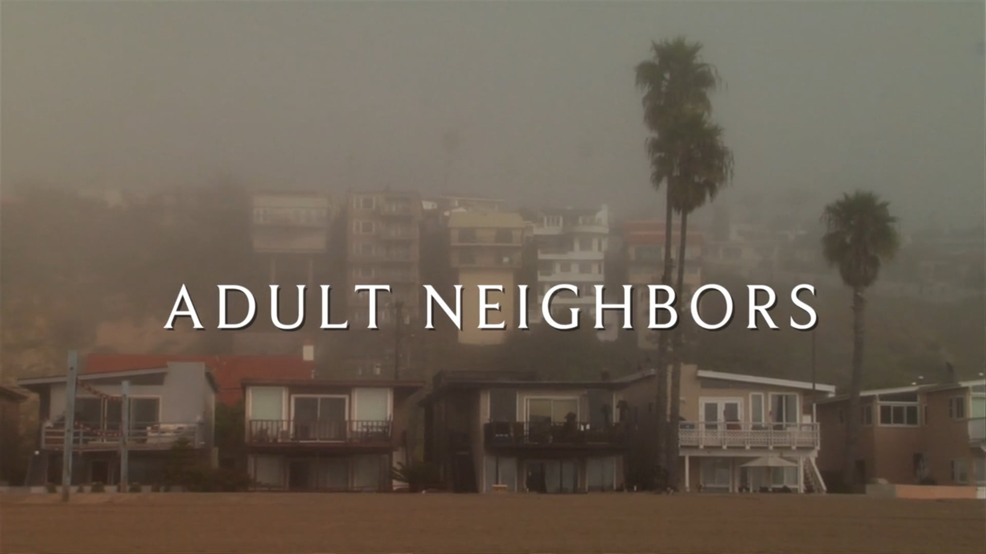 Adult Neighbors (season 2 open)