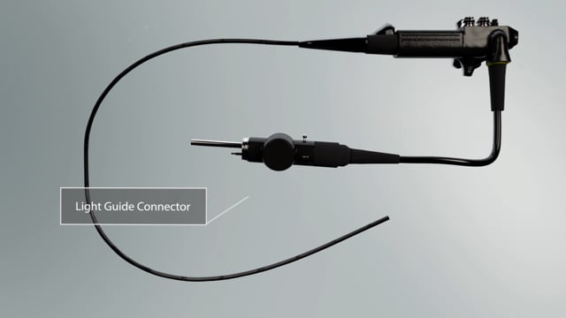 Endoscope Parts Animation