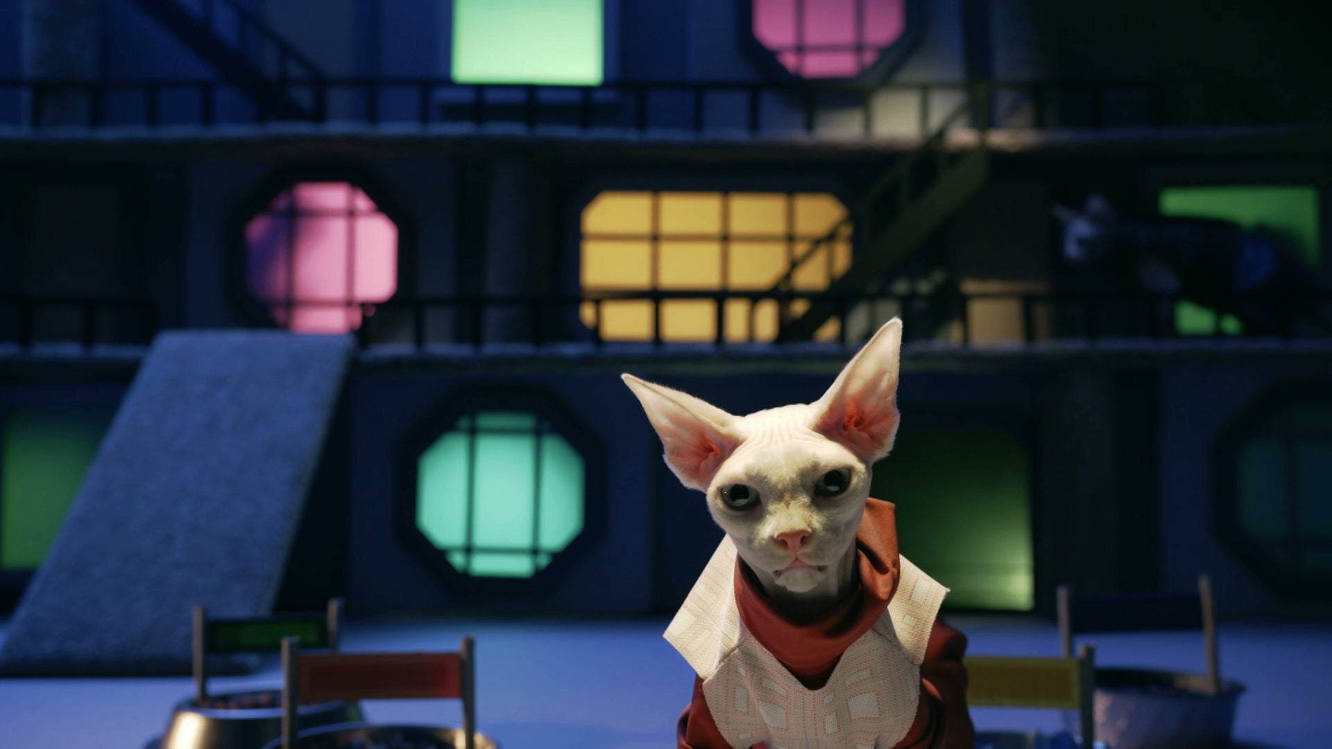 The Expanse Re-Cat