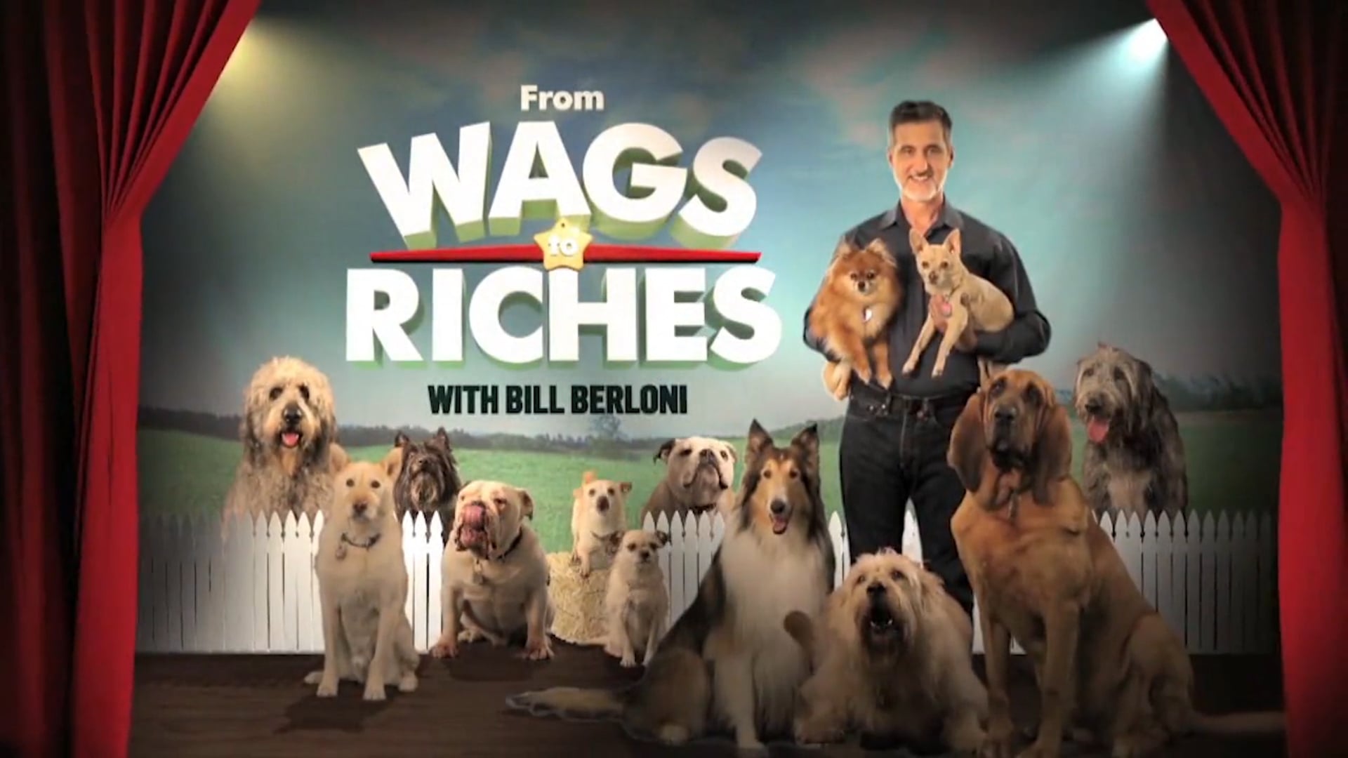 Discovery Family - Wags to Riches series