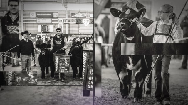 Blackout 5 Slideshow