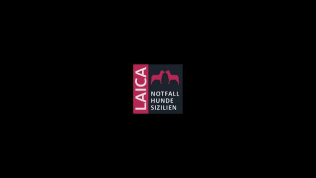 L.A.I.C.A. - Notfallhunde Sizilien Trailer