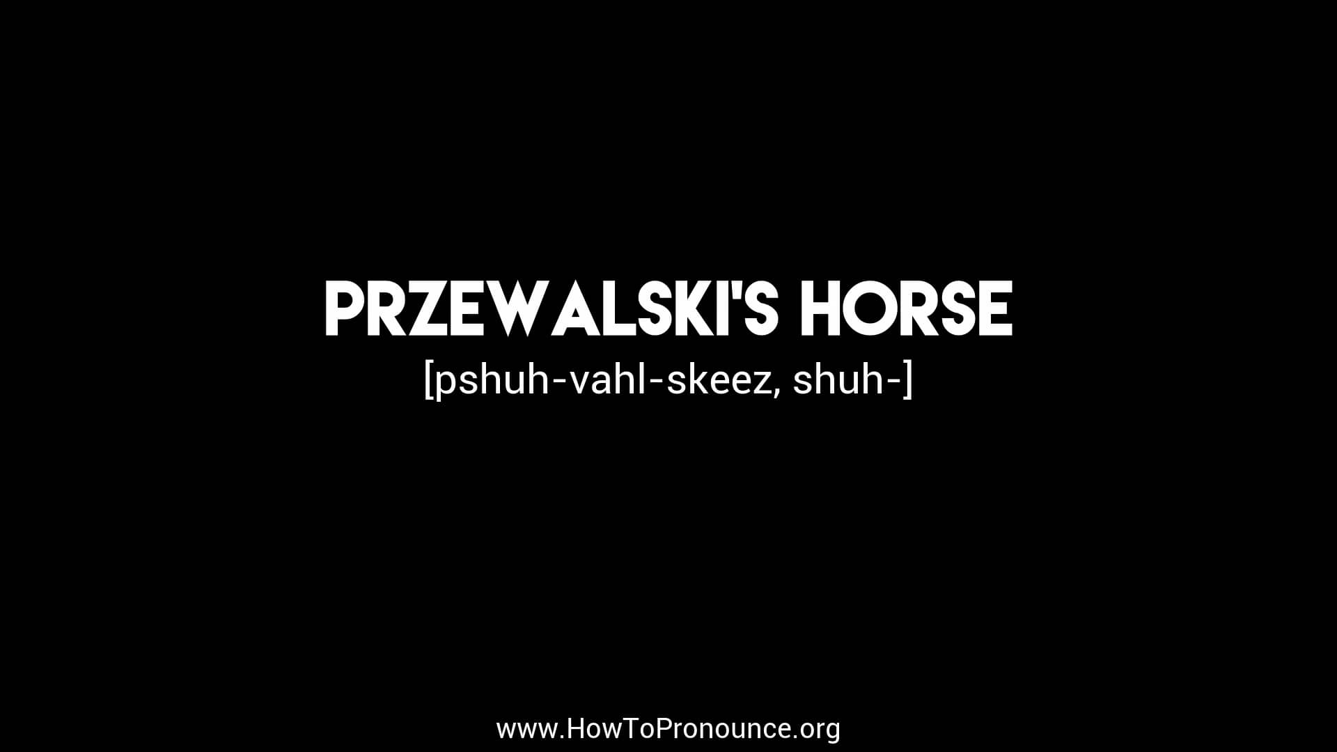 how-to-pronounce-przewalski-s-horse-on-vimeo