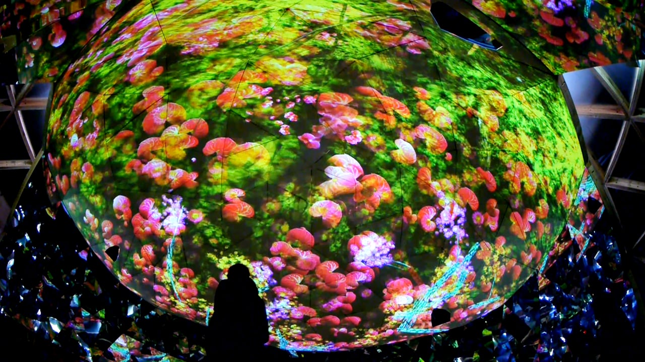 Screenshot of Miguel CHEVALIER In / Out - Paradis Artificiels 2017