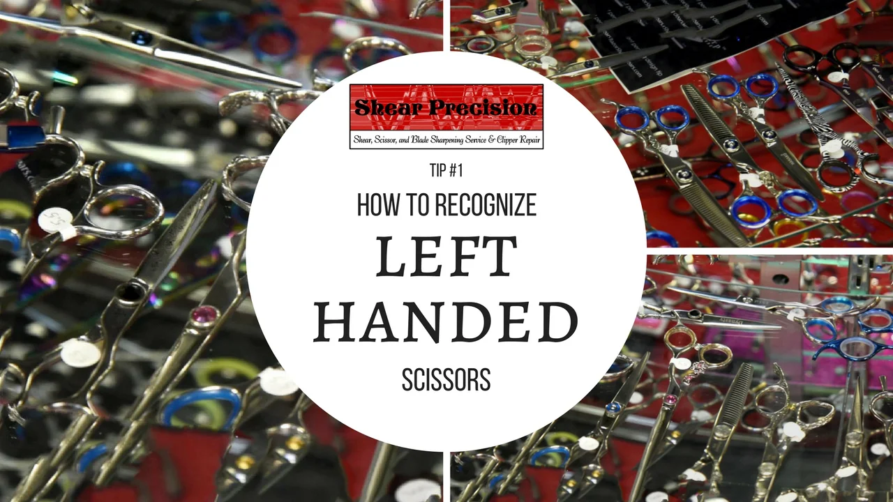 Shear Precision Sharpening's Tips and Tricks Tip 1 How To Recognize