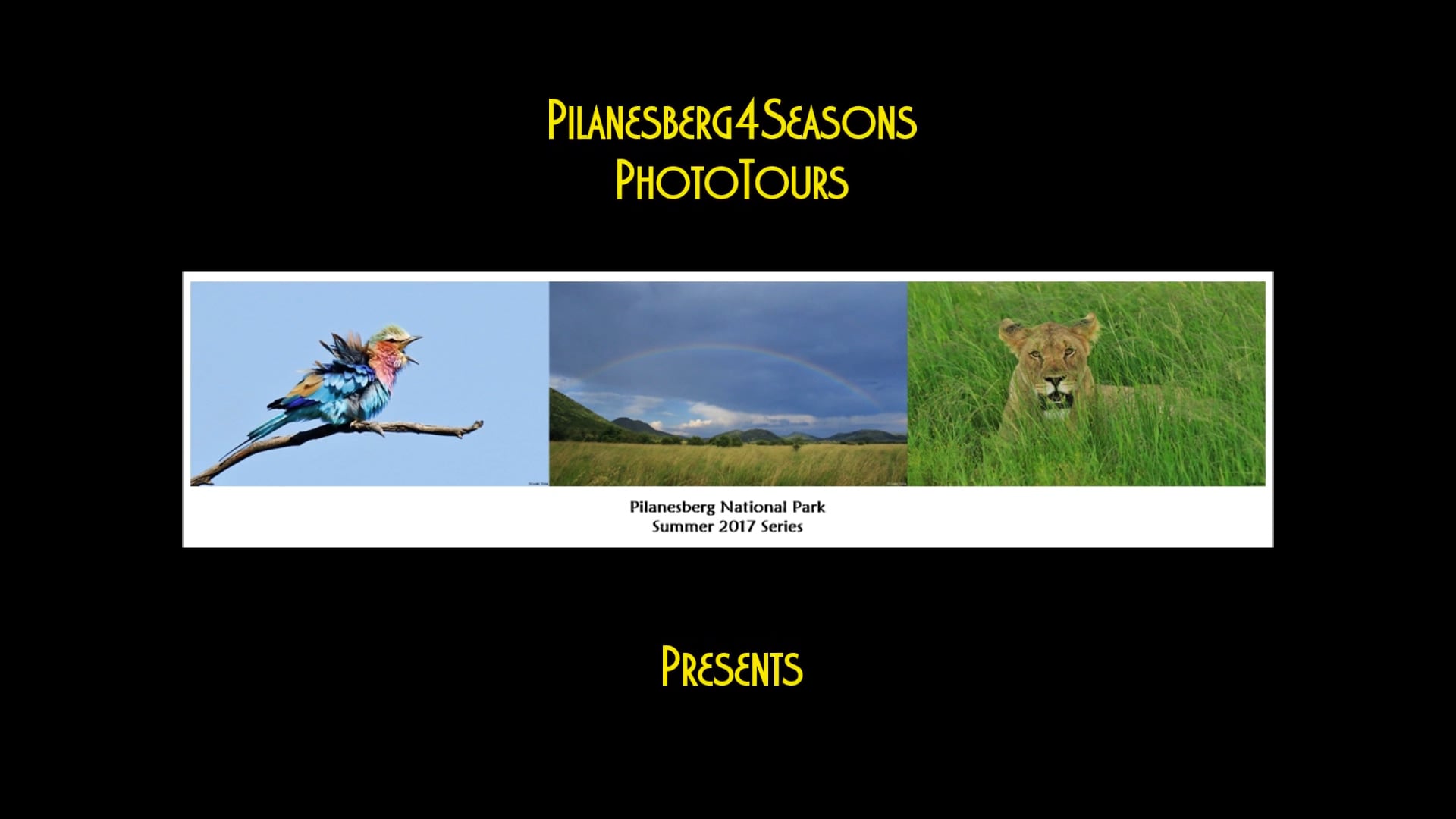 Pilanesberg4Seasons - Summer 2017