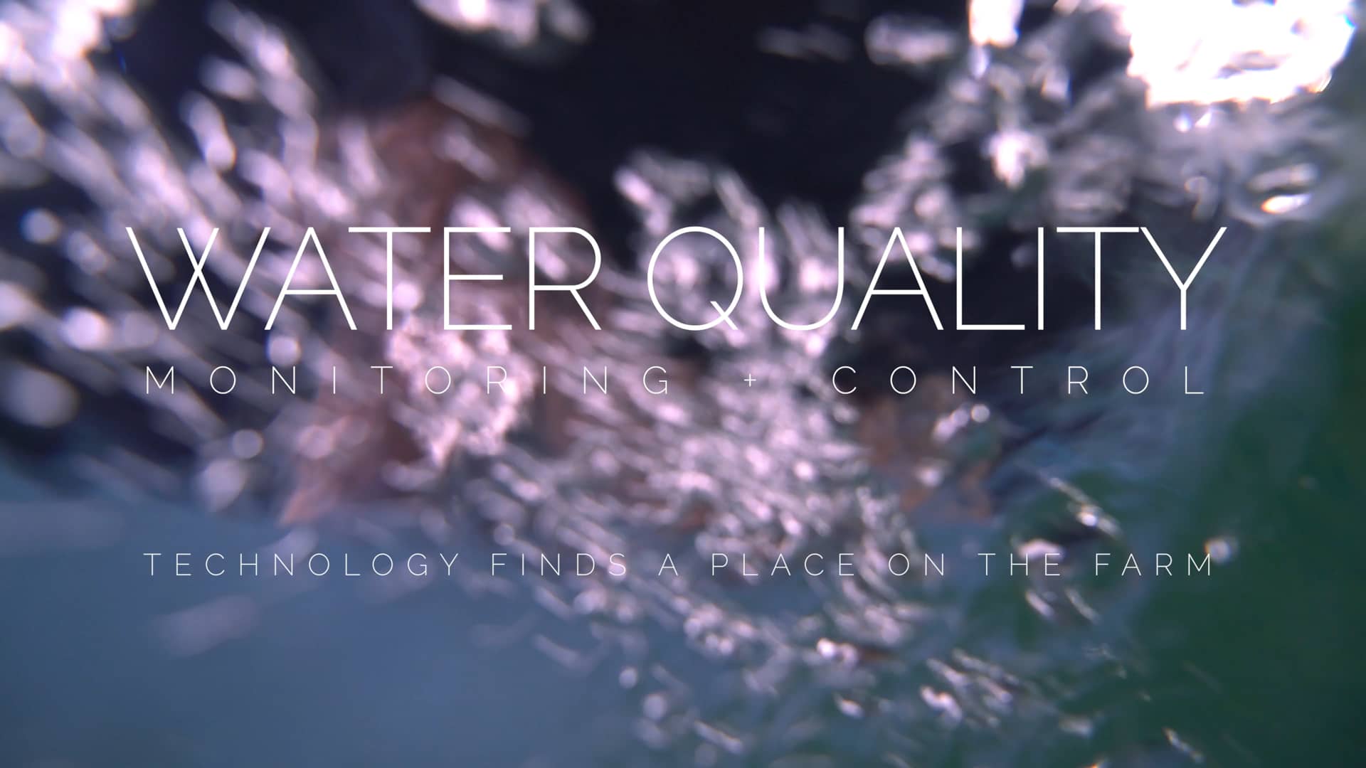 Water Quality on Vimeo