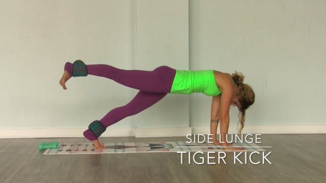 Side Lunge Tiger Kick