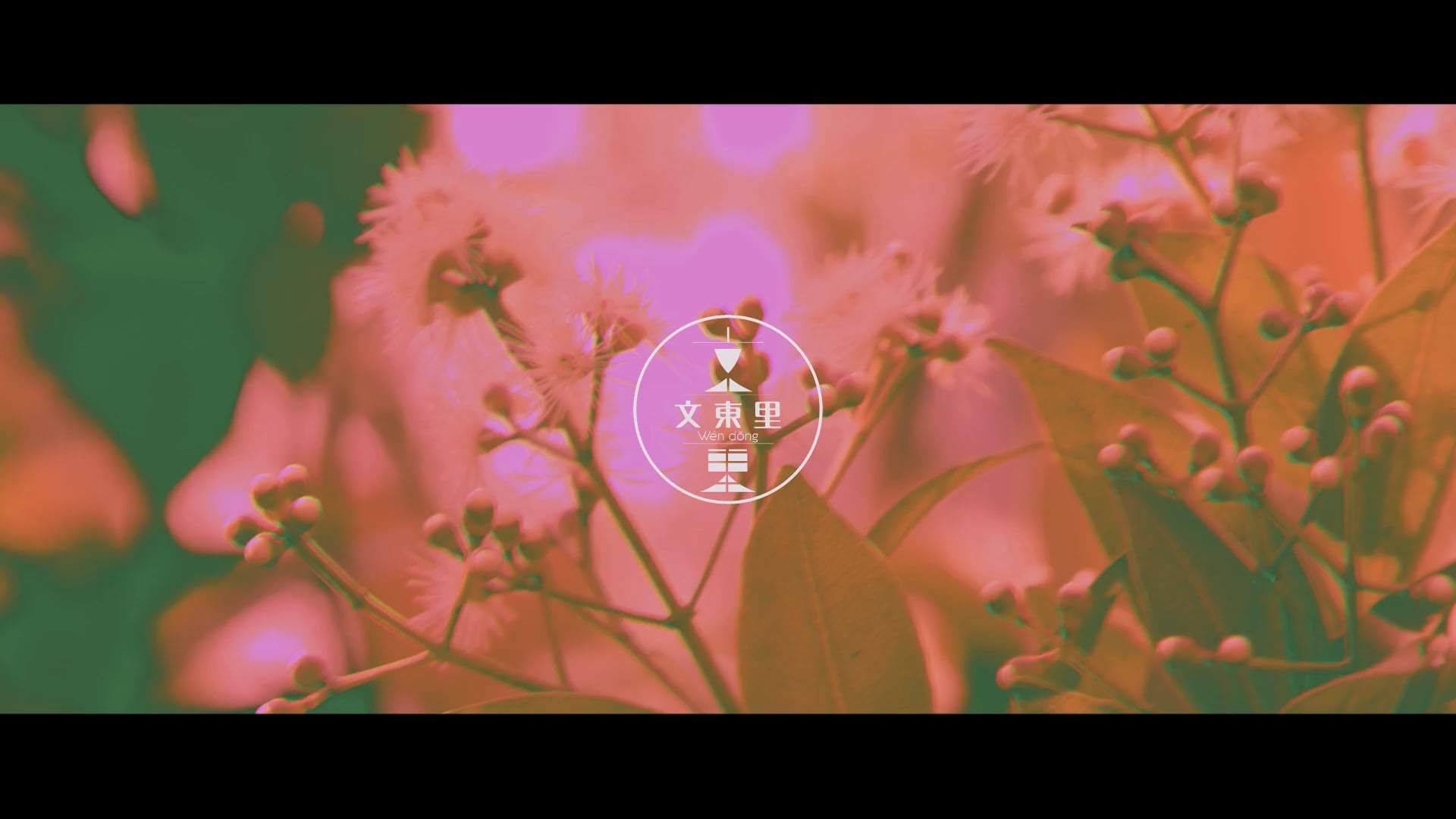 【文東里】綠耶誕 ‧ 大型壁畫紀錄影片