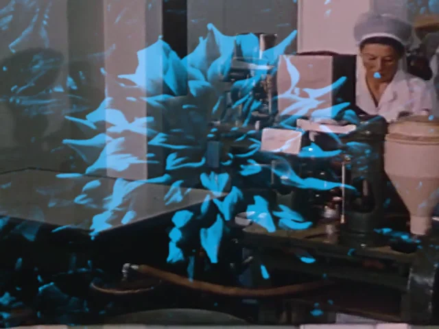 rare!Salami Rose Joe Louis 250枚限定プレス 0038683664_10_1024x.jpg?v=