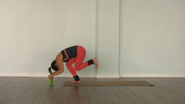 SSplit Squat Kicks