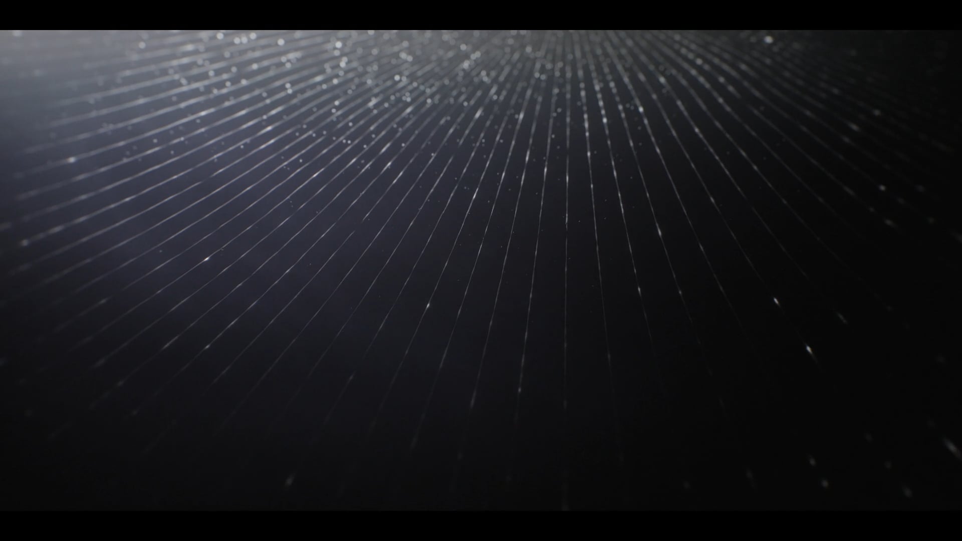 A Sonnet after Chopin's Requiem | Poem by Monique Adelle | Film by Timber