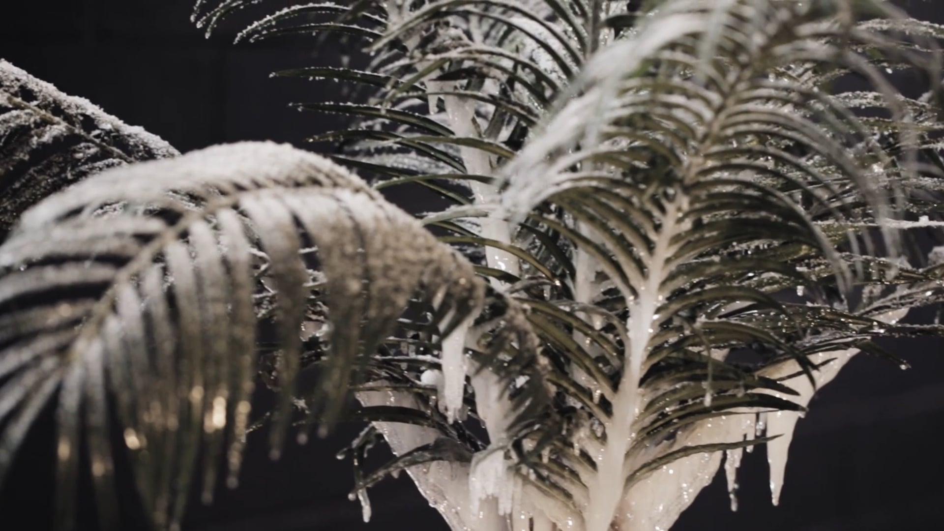 PROCESSUS : LAURENT PERNOT