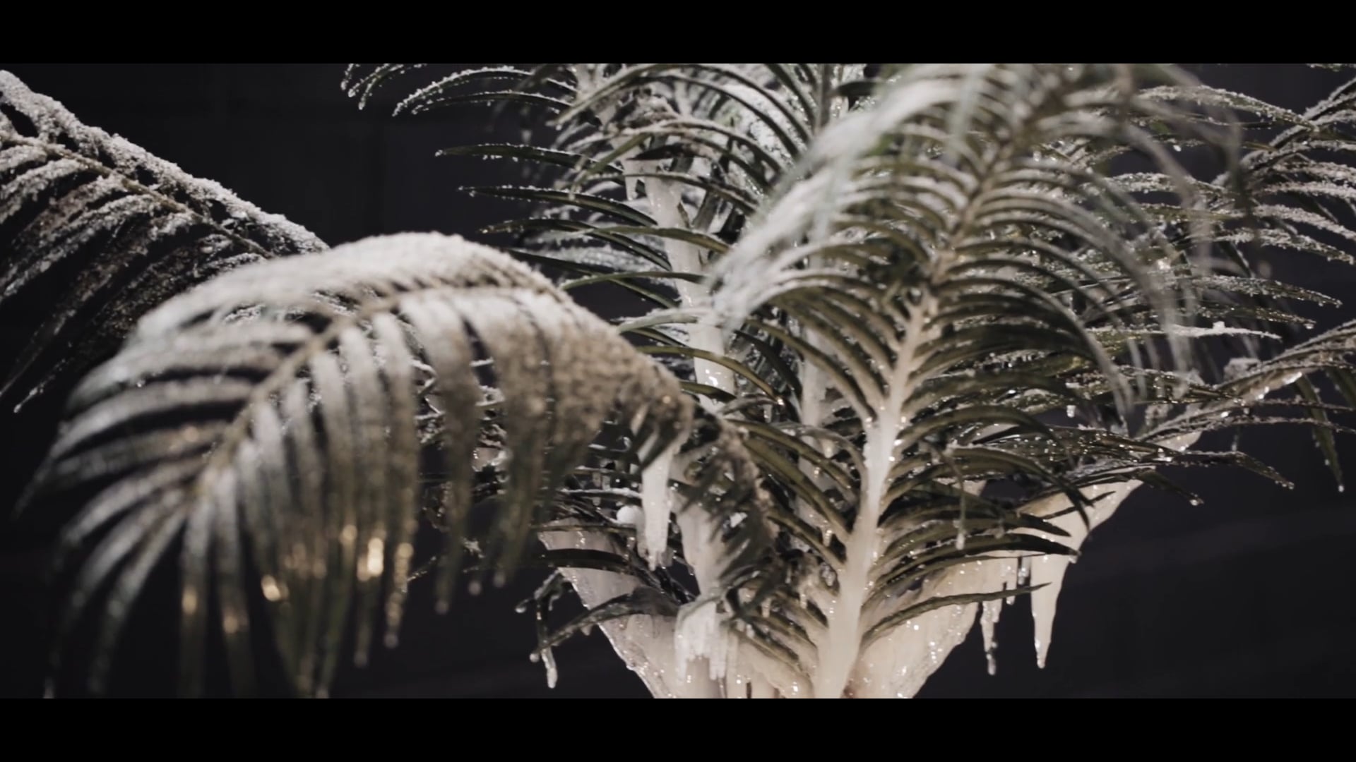 PROCESSUS : LAURENT PERNOT