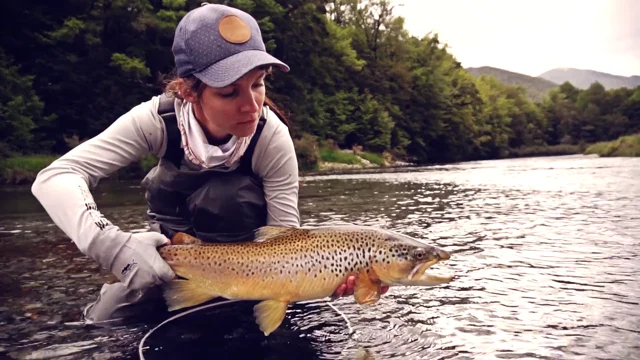 VIDEO: Best Fly Fishing Day Ever in New Zealand - Cheeky Fishing