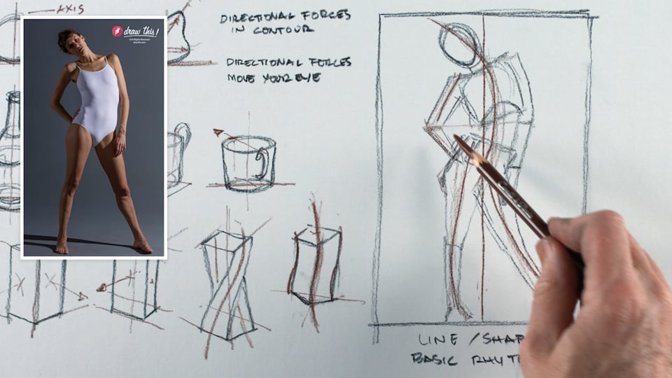 12 Guiding Principles for Learning Drawing - The Artist Blog