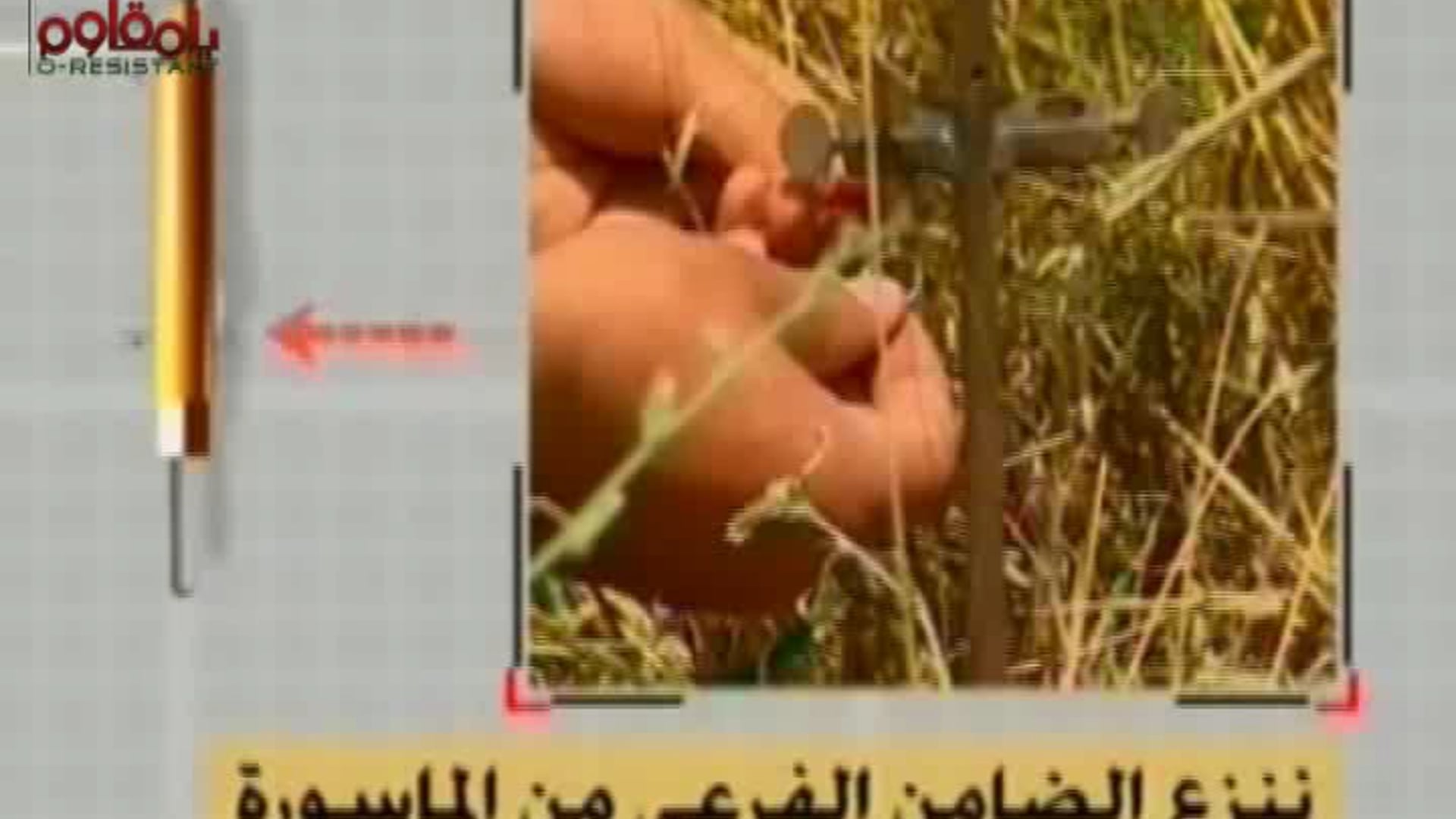 لدورية مشاة_نشر