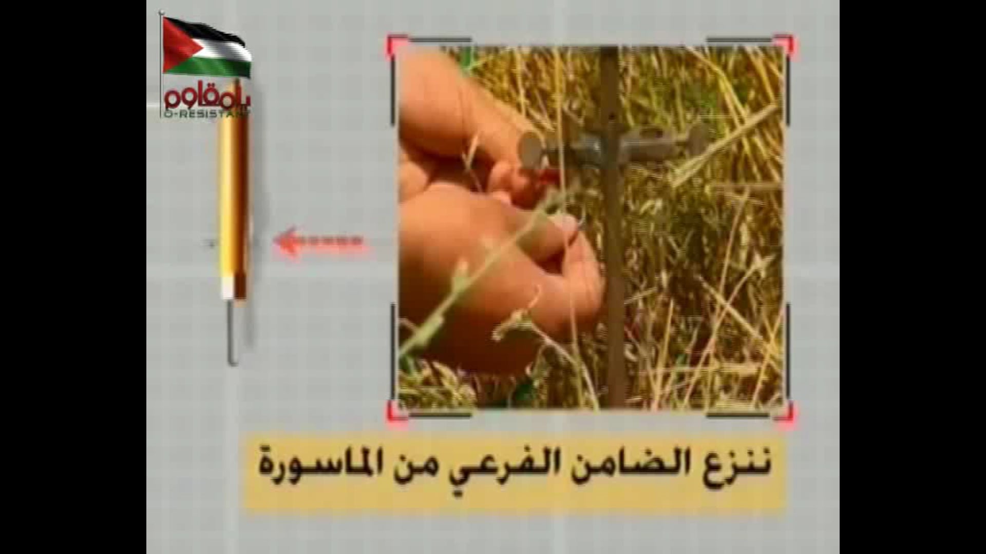 لدورية مشاة_نشر