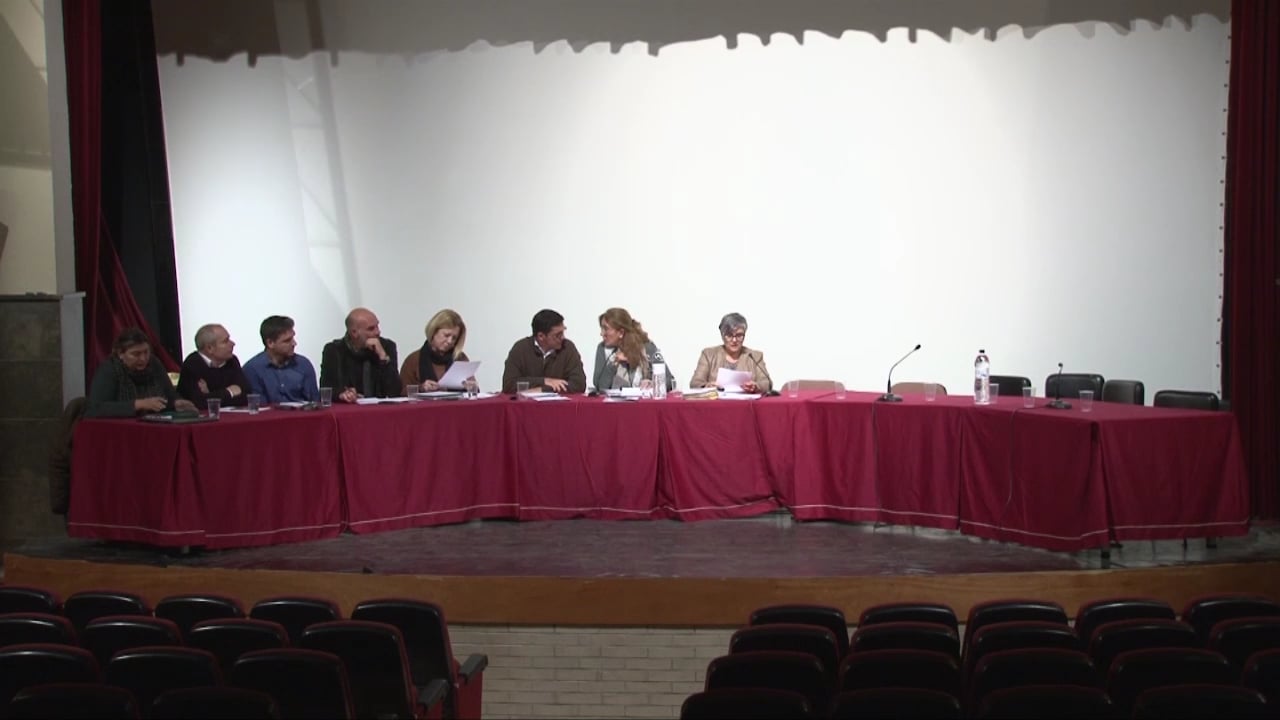 Ple municipal 22 de desembre de 2015 - punt3