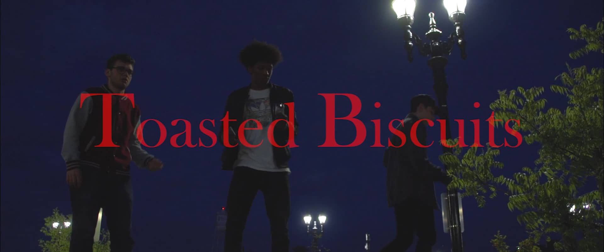 Toasted Biscuits (Sony NEXFS100UK Lowlight Test) on Vimeo