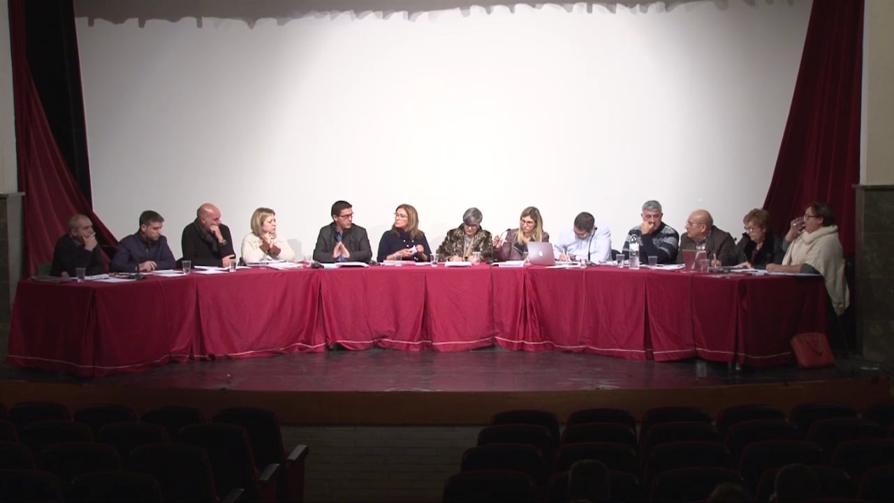 Ple municipal 26 de novembre de 2015 - punt3 part2