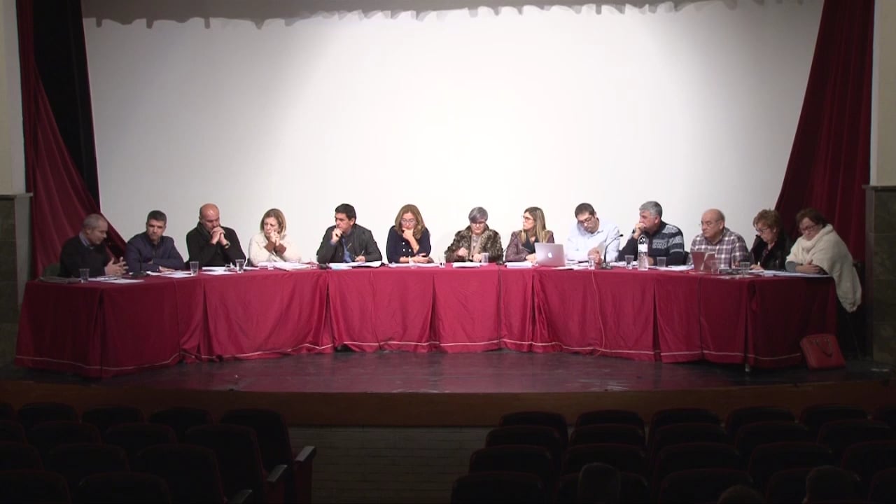 Ple municipal 26 de novembre de 2015 - punt3 part3