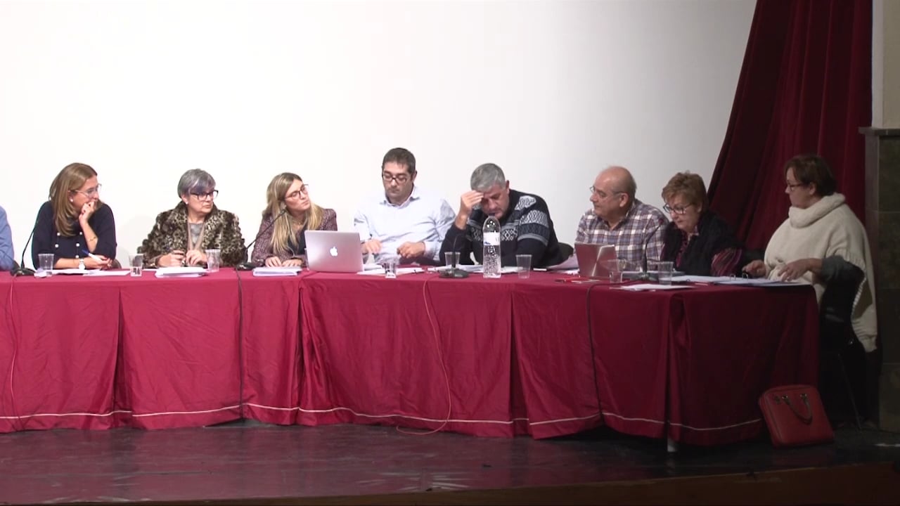 Ple municipal 26 de novembre de 2015 - punt4 part2