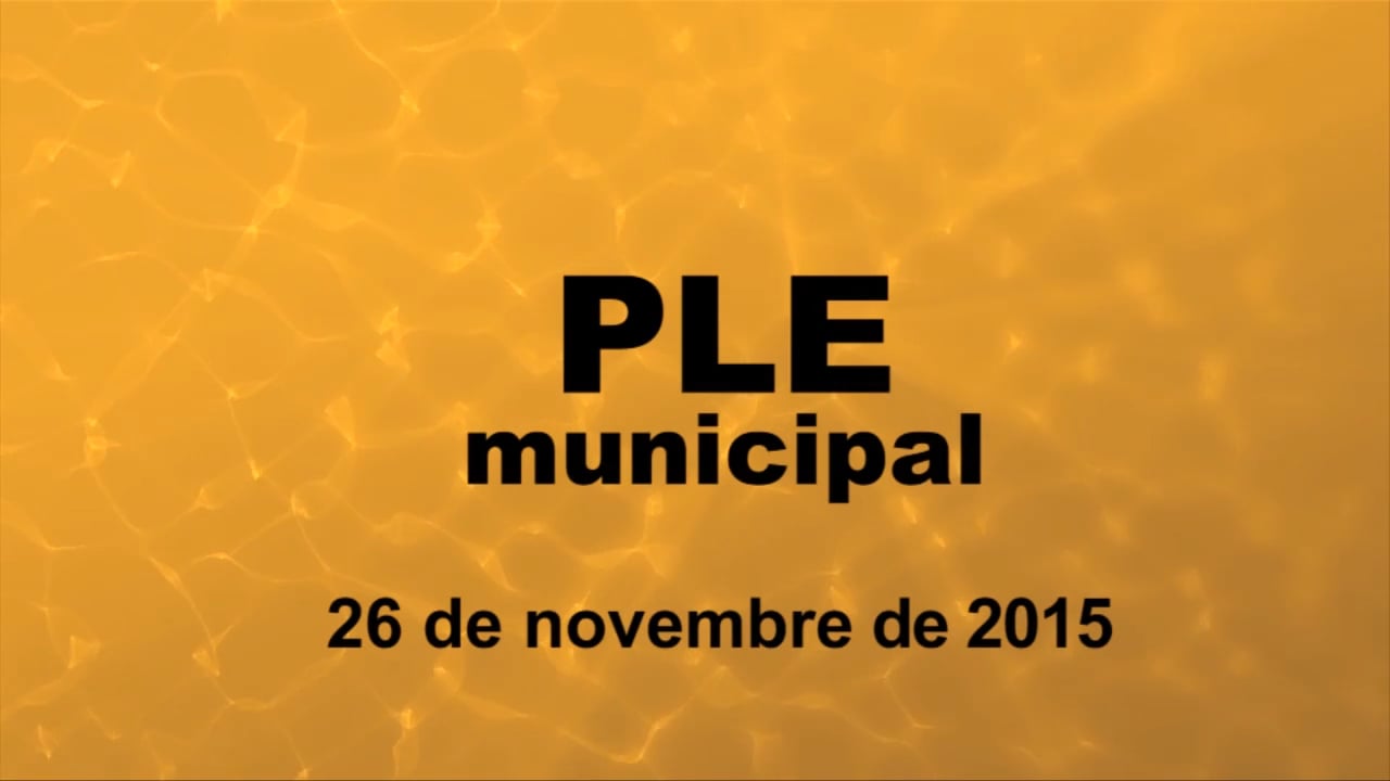 Ple municipal 26 de novembre de 2015