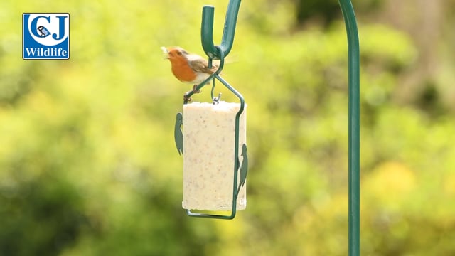 CJ Wildlife Peanut Cake Hanger