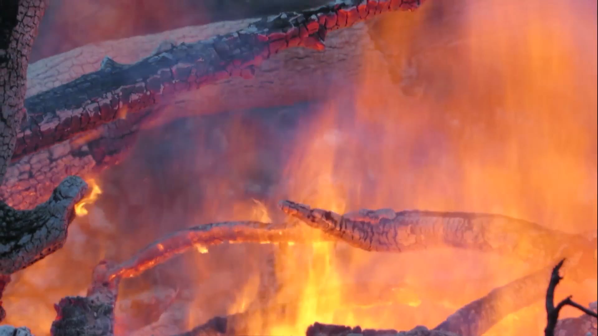 Searching for the Goldspot: The Wild After Wildfire