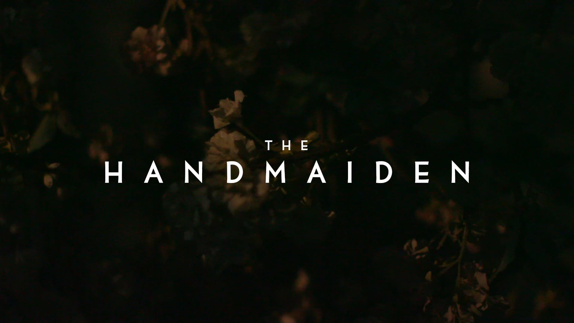 Secret Cinema X presents Park Chan-wook's The Handmaiden