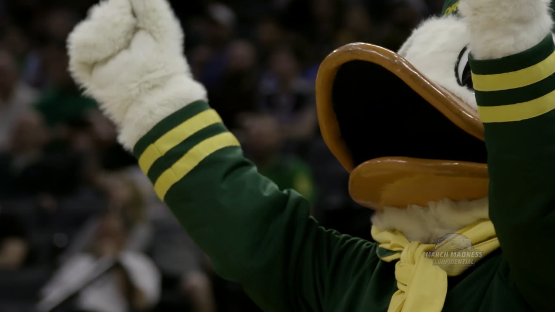 NCAA Confidential: Oregon Recap